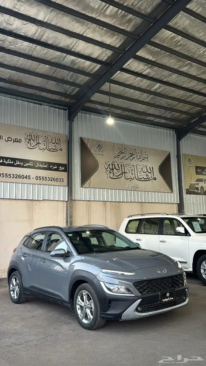 كونا 2022 عداد 113 الف فقط . 5