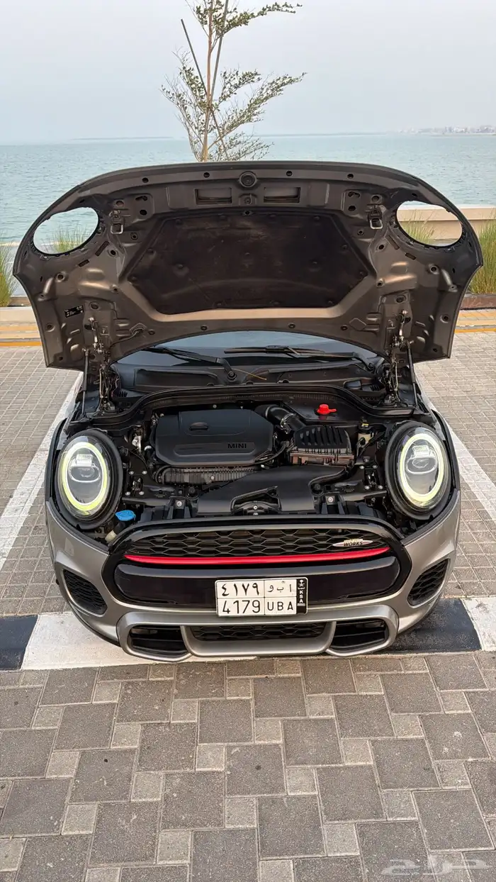 مني كوبر جون وورك 2020 62