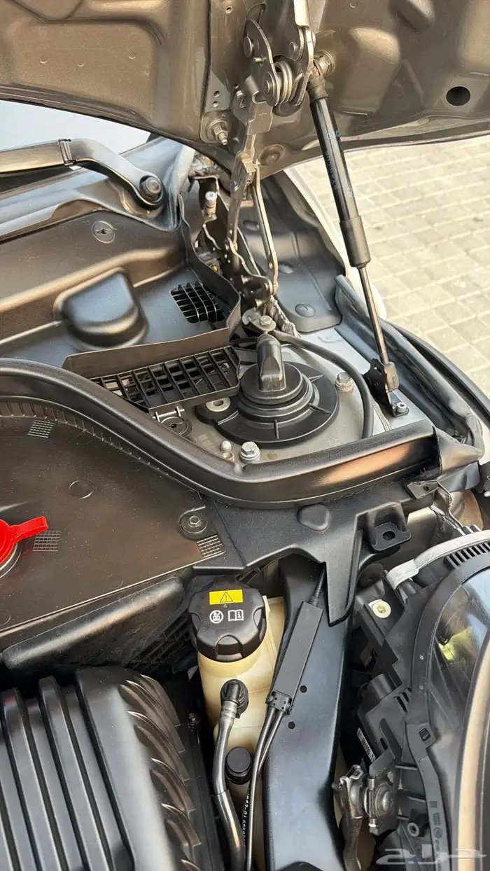 مني كوبر جون وورك 2020 66