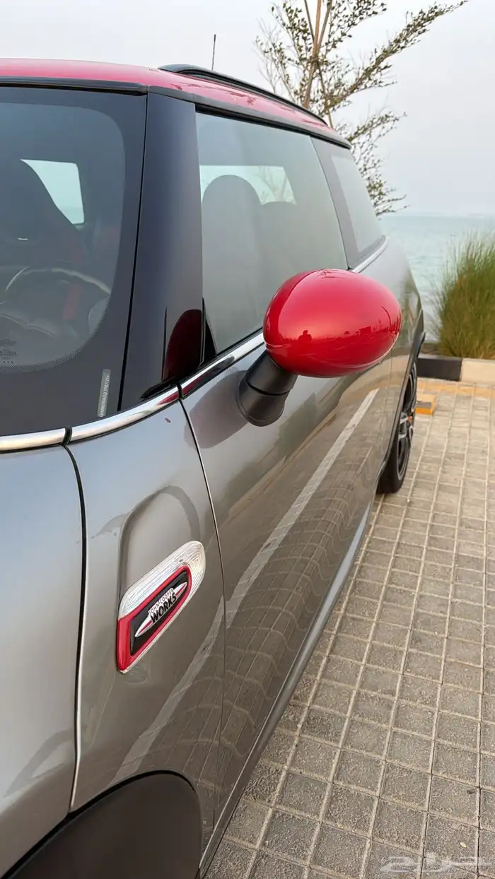 مني كوبر جون وورك 2020 5