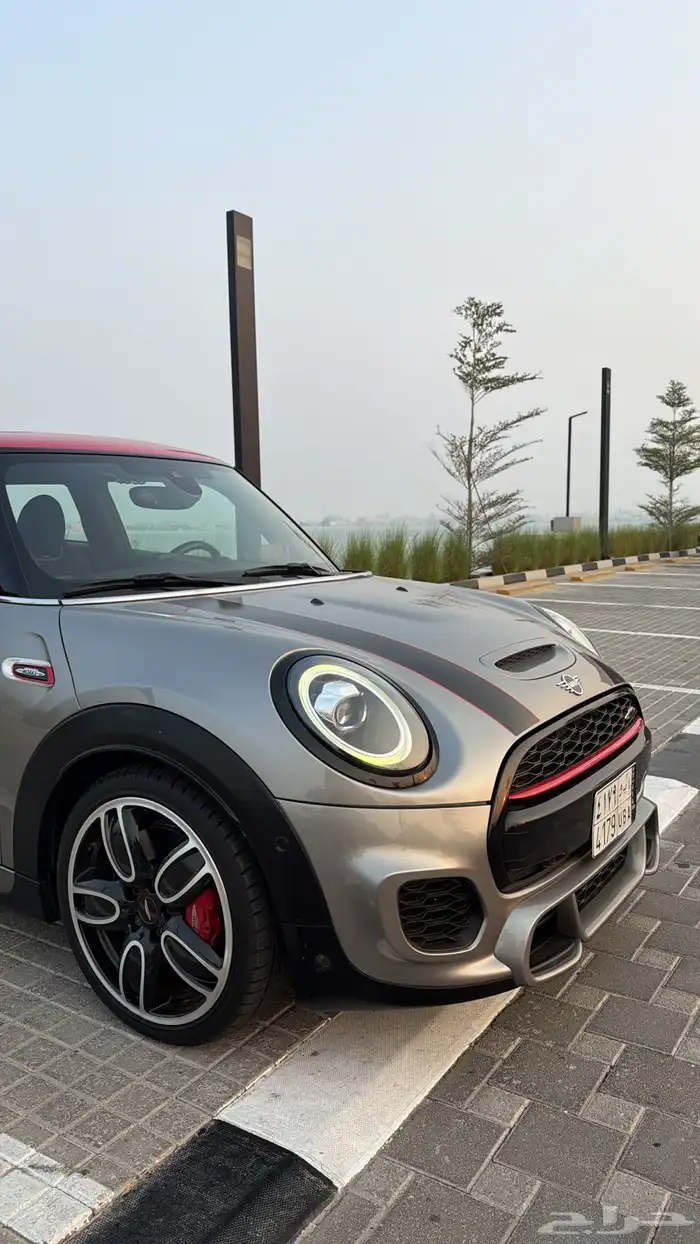 مني كوبر جون وورك 2020 3