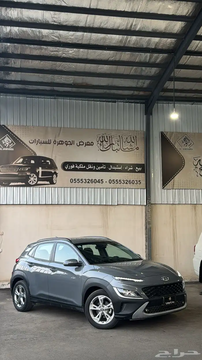 كونا 2022 عداد 113 الف فقط . 1