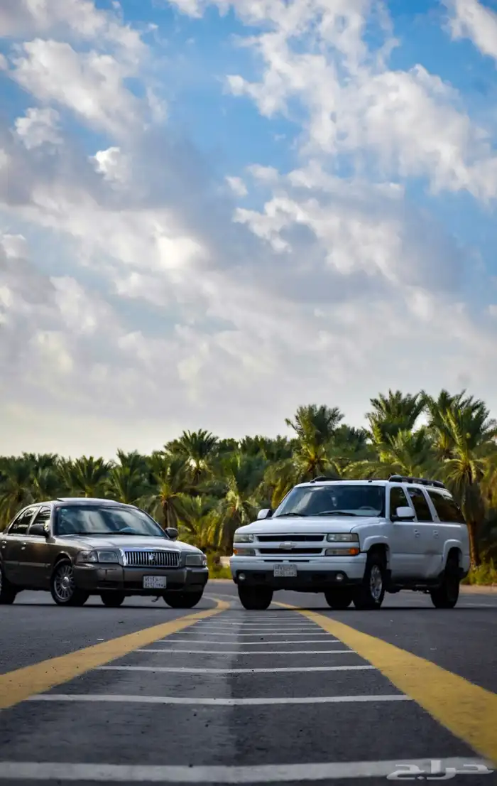 كاميرا نيكون D5600 7