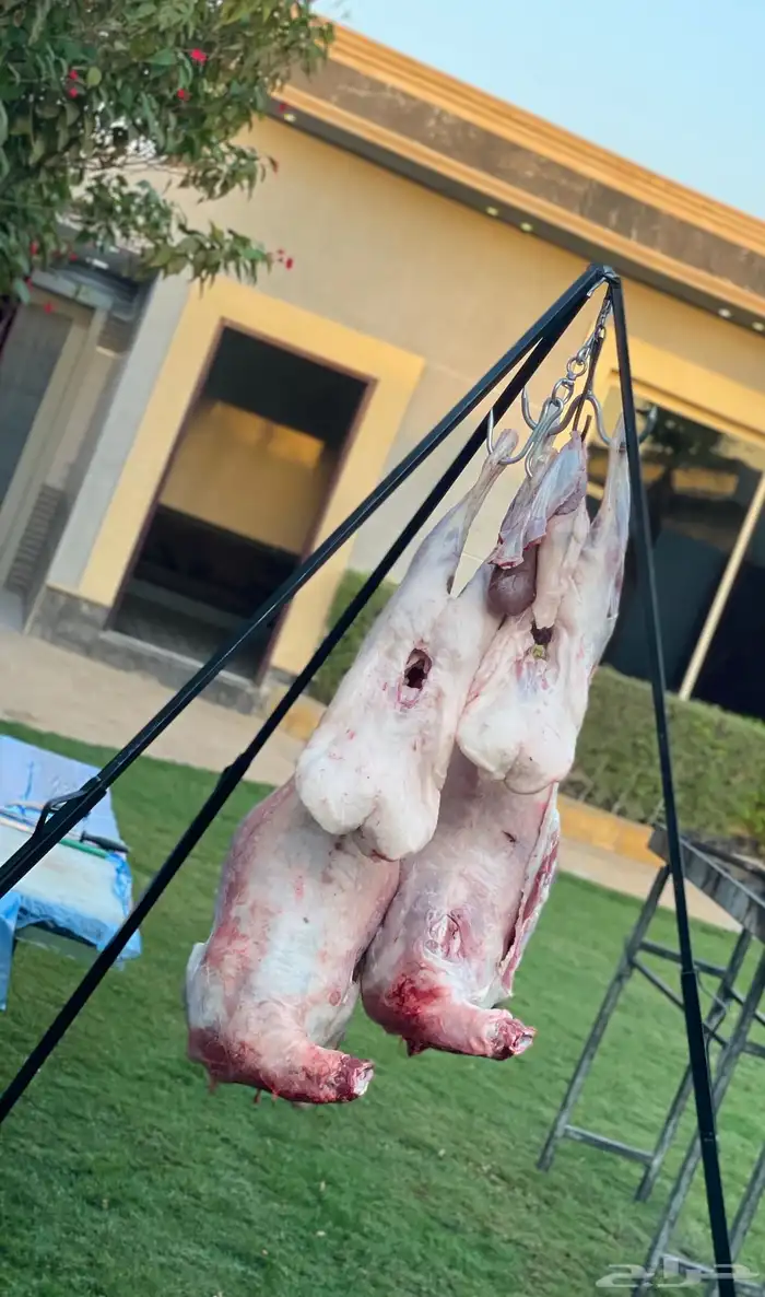 معلم مشويات مشاوي شوي دوار سعادة شواي 7