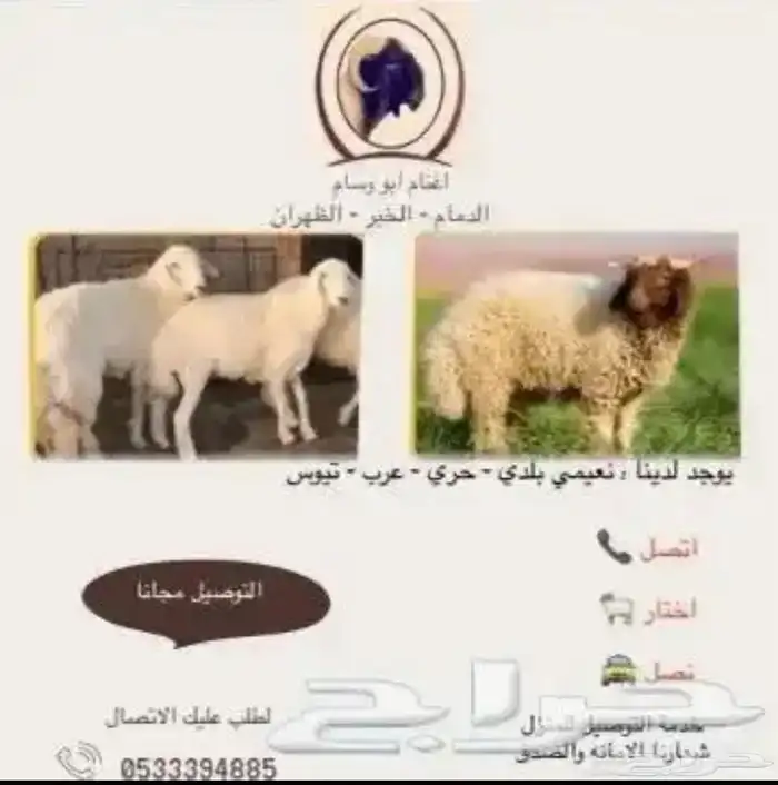 ذبايح نعيمي وحري وعرب 0