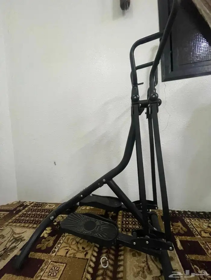 الغزال الطائر 0