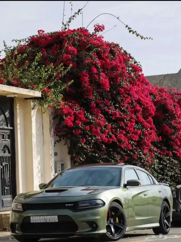 تشارجر RT 2019 0