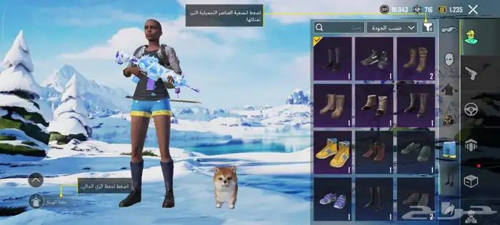 حساب ببجي 16