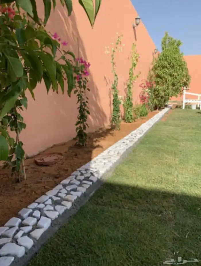 نجيله  ثيل طبيعي تنسيق حدائق 21