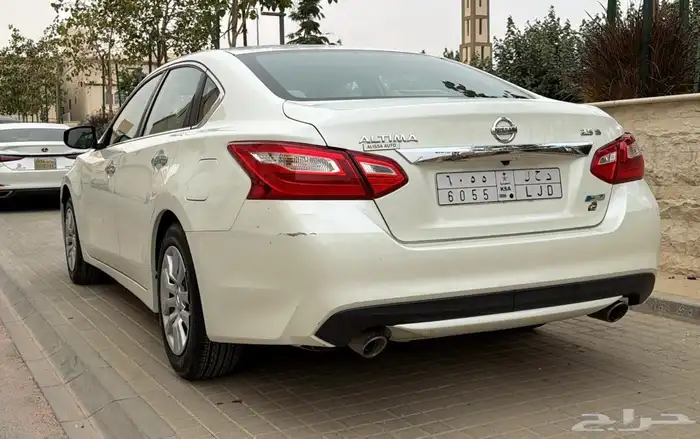 التيما 2017 11