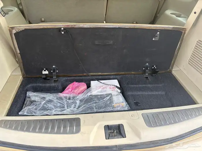 نيسان بلاتينيوم 2010 ذهبي 3