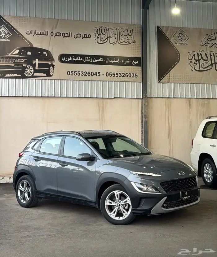 كونا 2022 عداد 113 الف فقط . 0