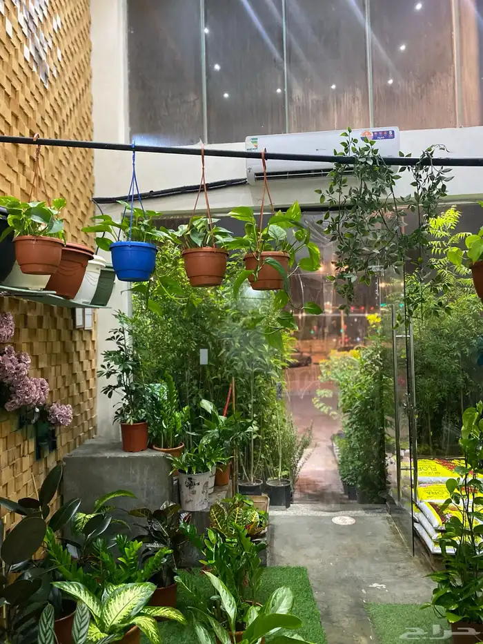 مشتل للزراعه مزارع استراحات مشاريع 3