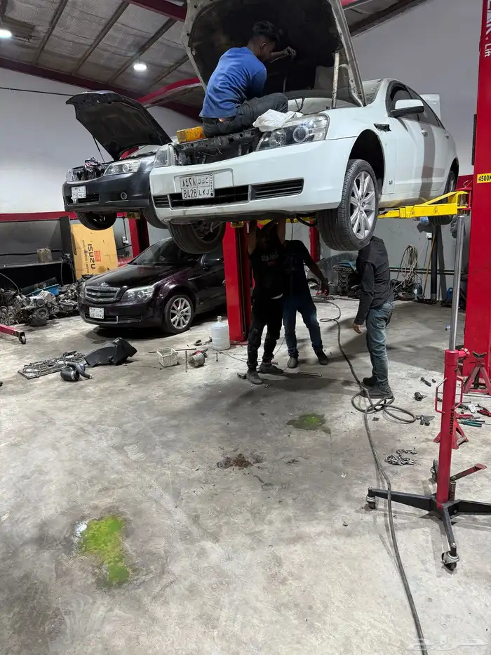 مكاين كابرس اكسبدشن ضمان سنه 5