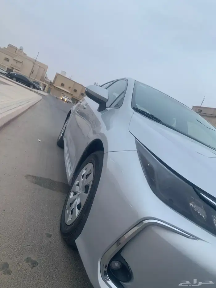 كوريلا 2023 للبيع 2