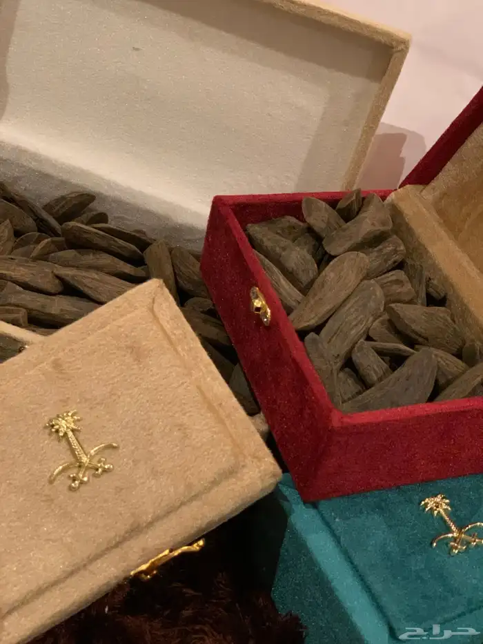 عود طبيعي محسن مروكي موروكي عود تايقر توزيعات هدايا سبح 0