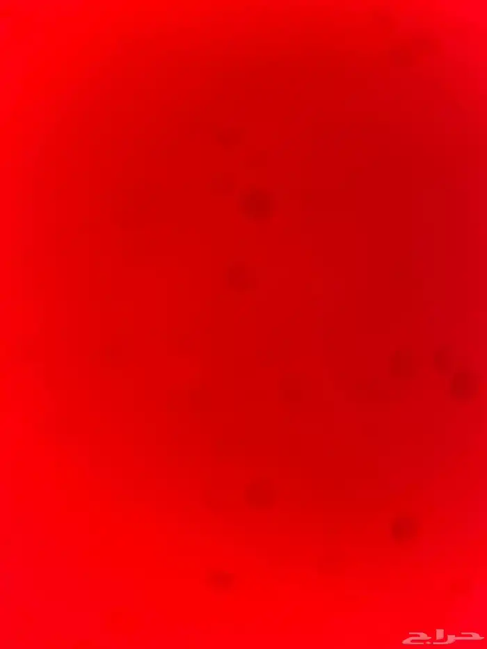 ابحث عن عمل كاشير او سواق داخل حي الجامعه 0