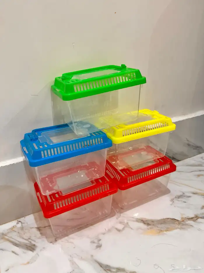 مستلزمات طيور . فروخ حصانات 0