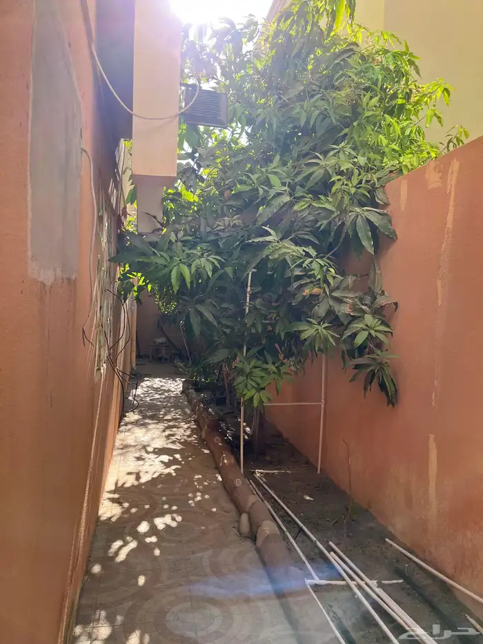 دبلكس للبيع 10