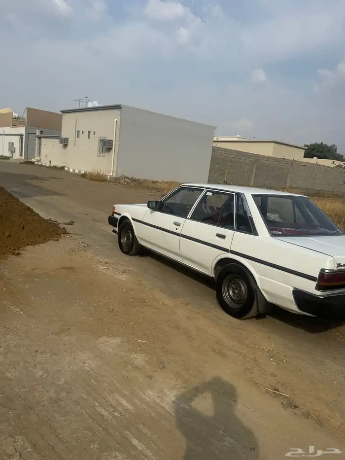 كرسيدا للبيع 5