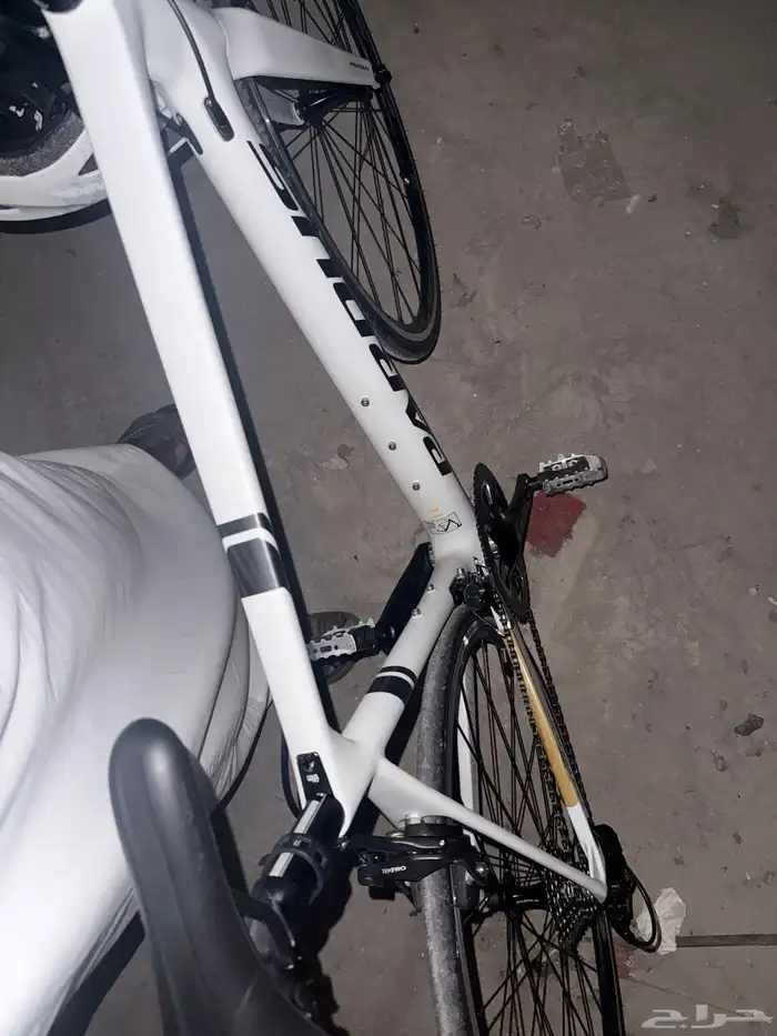 دراجة رود كاربون Pardus Robin مقاس M قير Shimano 105 2