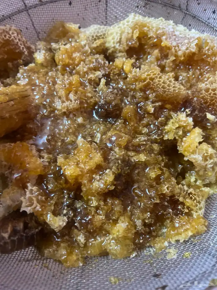 عسل   شمع وسايل سدر للبيع 1