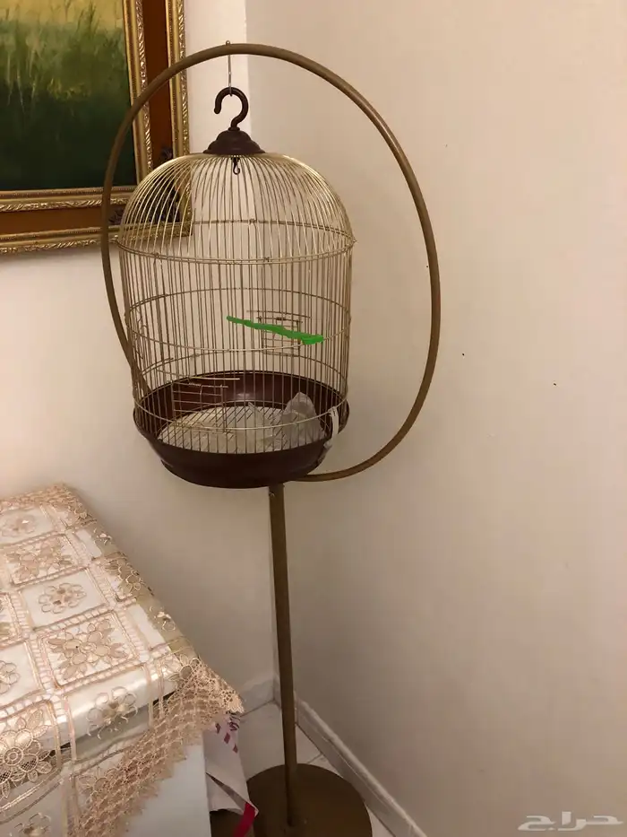 قفص مع استاند نظيف 0