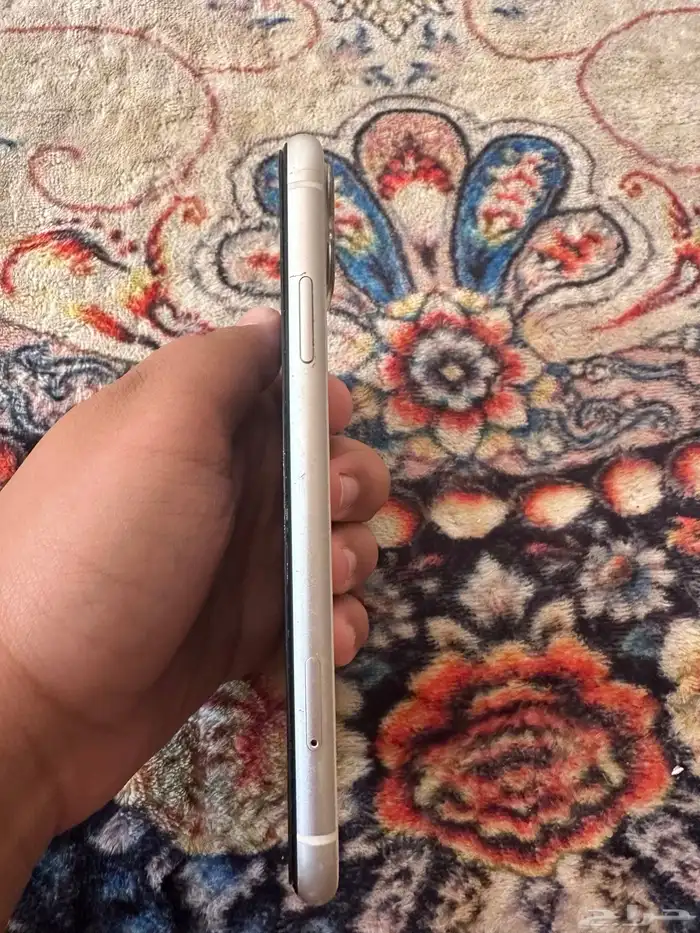 ايفون 11 العادي 1