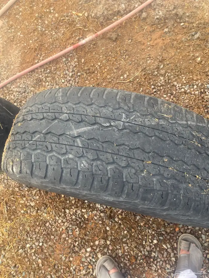 جنوط لاند كروزر 2016 للبيع 6