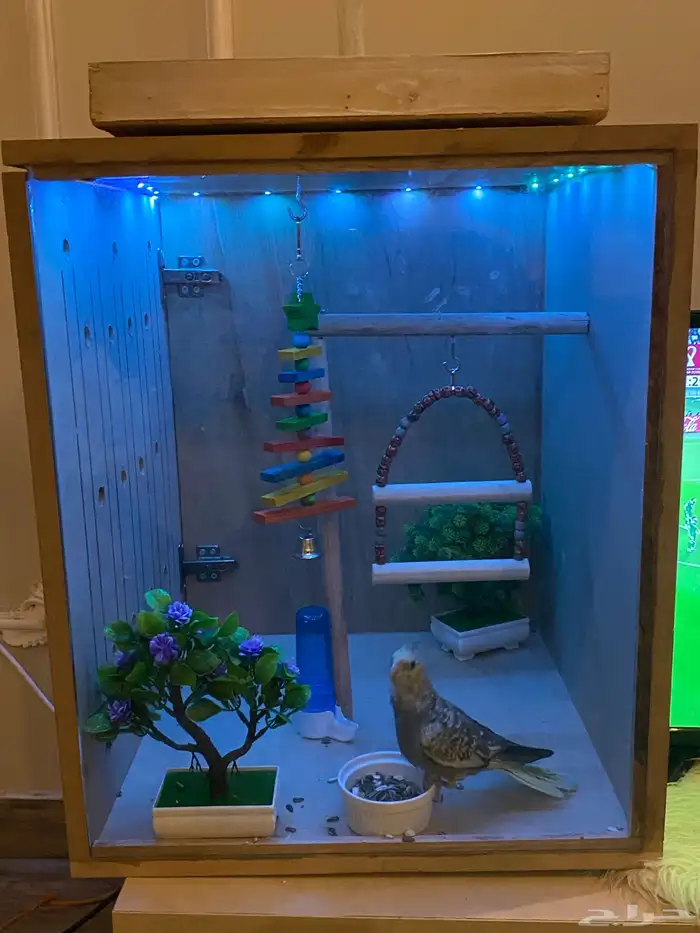 قفص للطيور 0