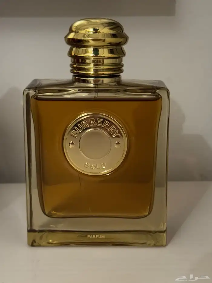 بربري جولد 2025 بيرفيوم 0