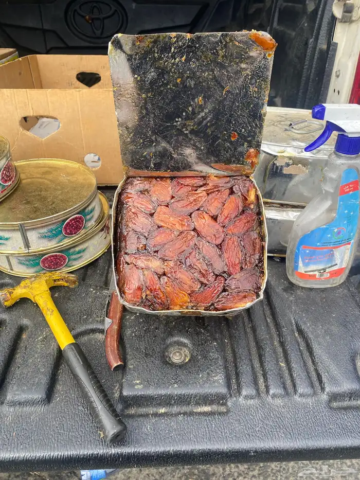 تمر صفري حب كبير 0