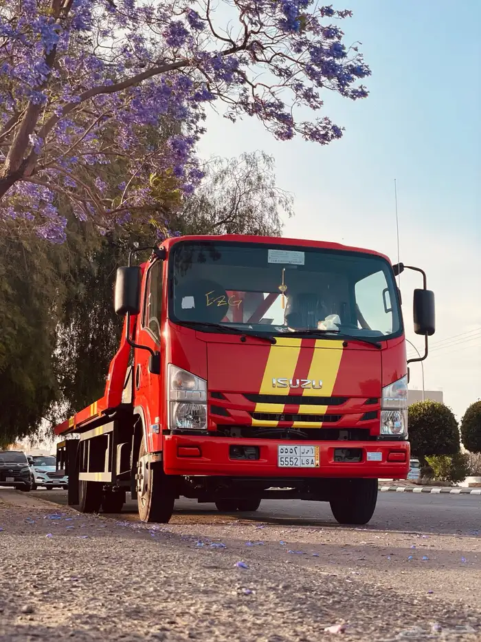 سطحه  الرياض 0