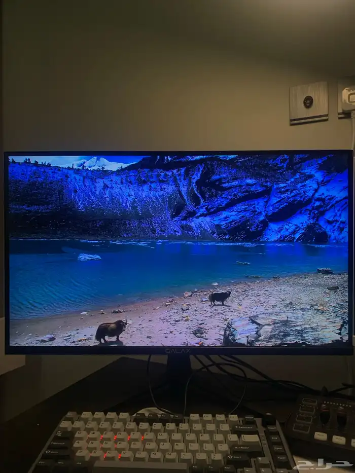 شاشة 2k ips 165hz 0