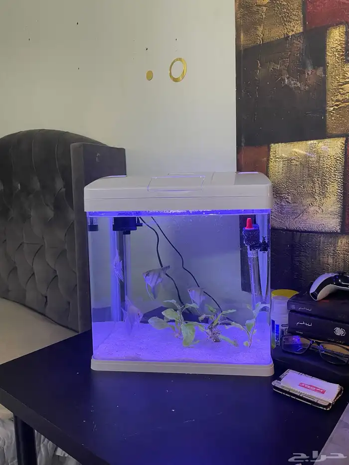 حوض سمك للبيع 0