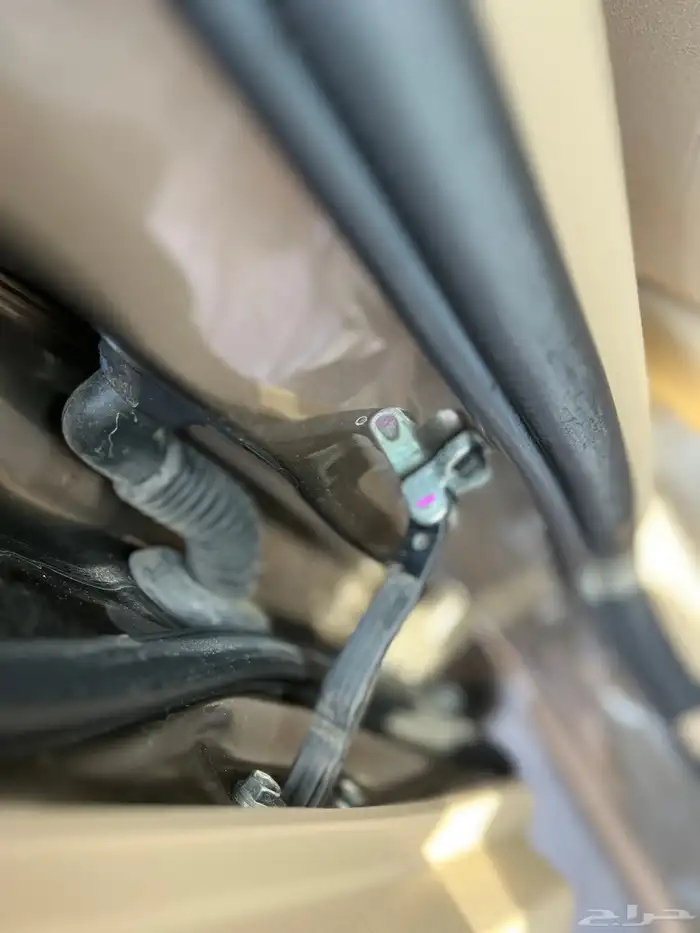 يارس Y وكالة 2020 7