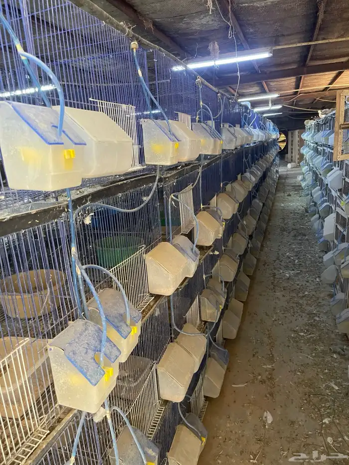 سلاكات مصرية للحمام الفرنسي شبه جديدة استخدام 3 شهور 0