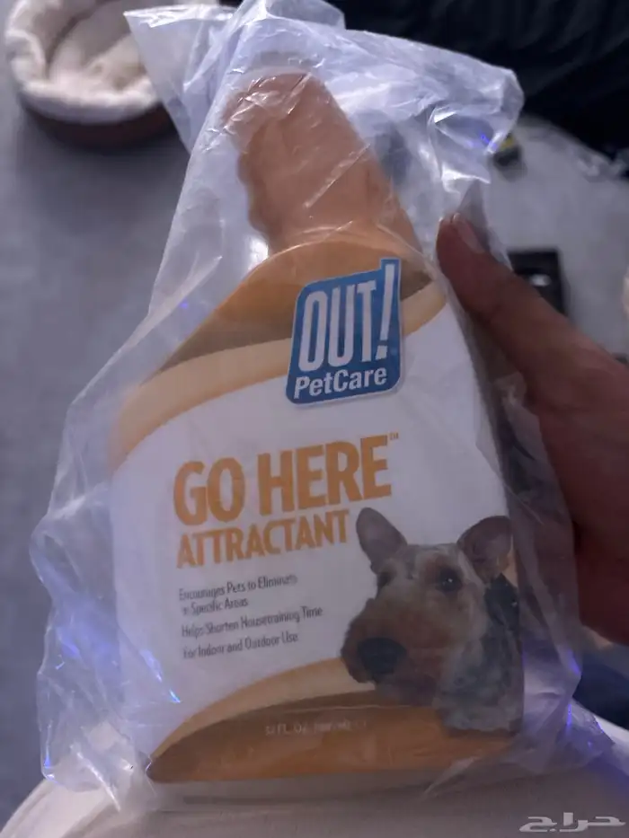 كلب للبيع pug بق 5