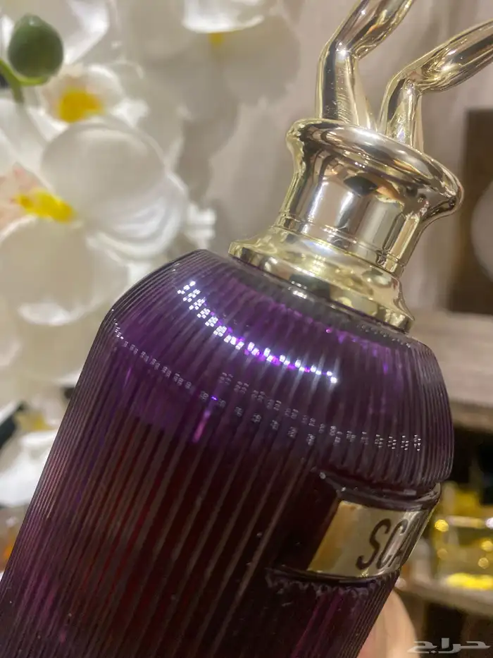 جان بول غوتيه 2