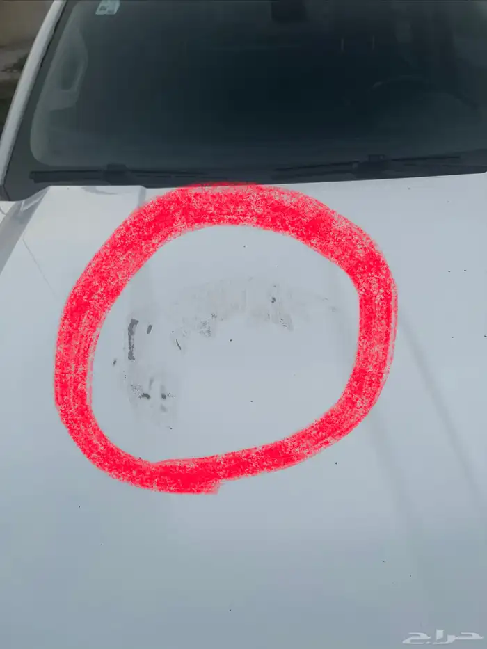 سلفرادو غمارتين 2017 12