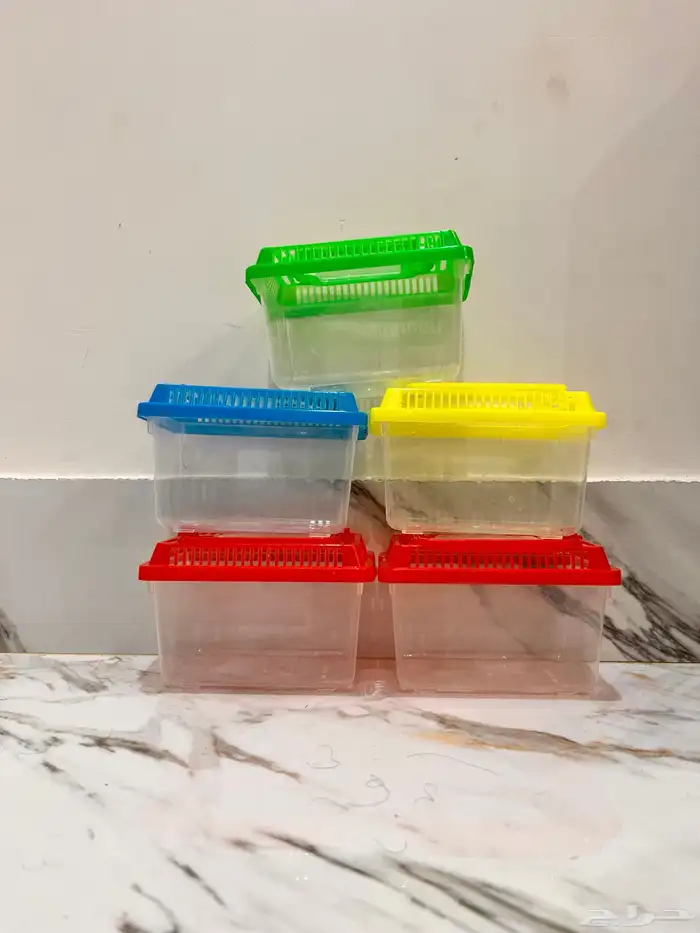 مستلزمات طيور . فروخ حصانات 1