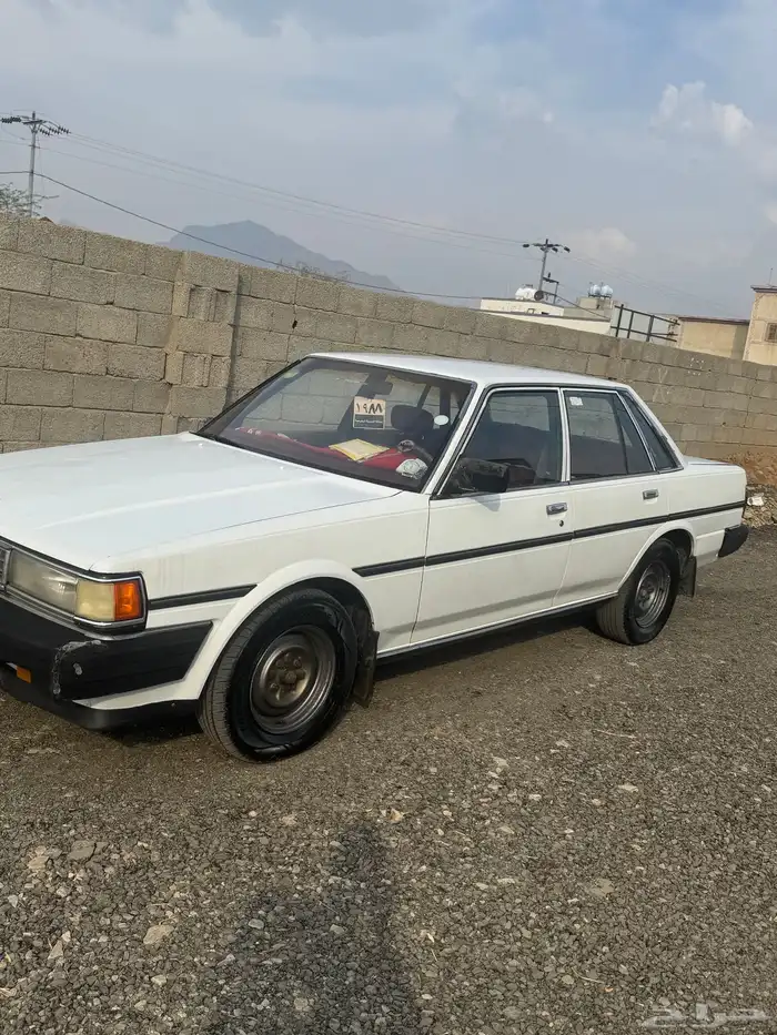 كرسيدا للبيع 2