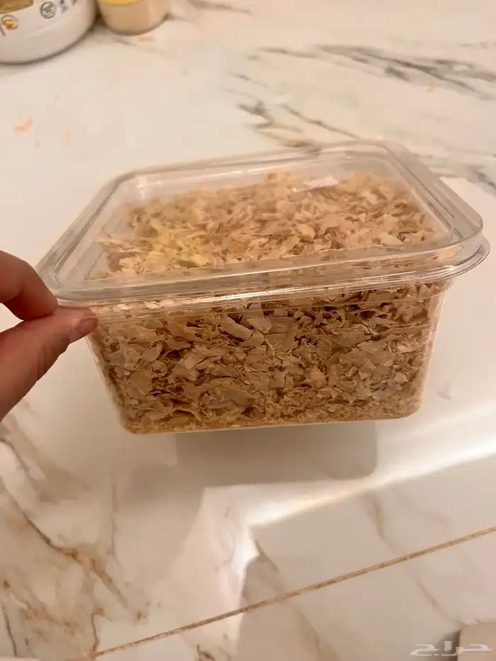 مستلزمات طيور . فروخ حصانات 3