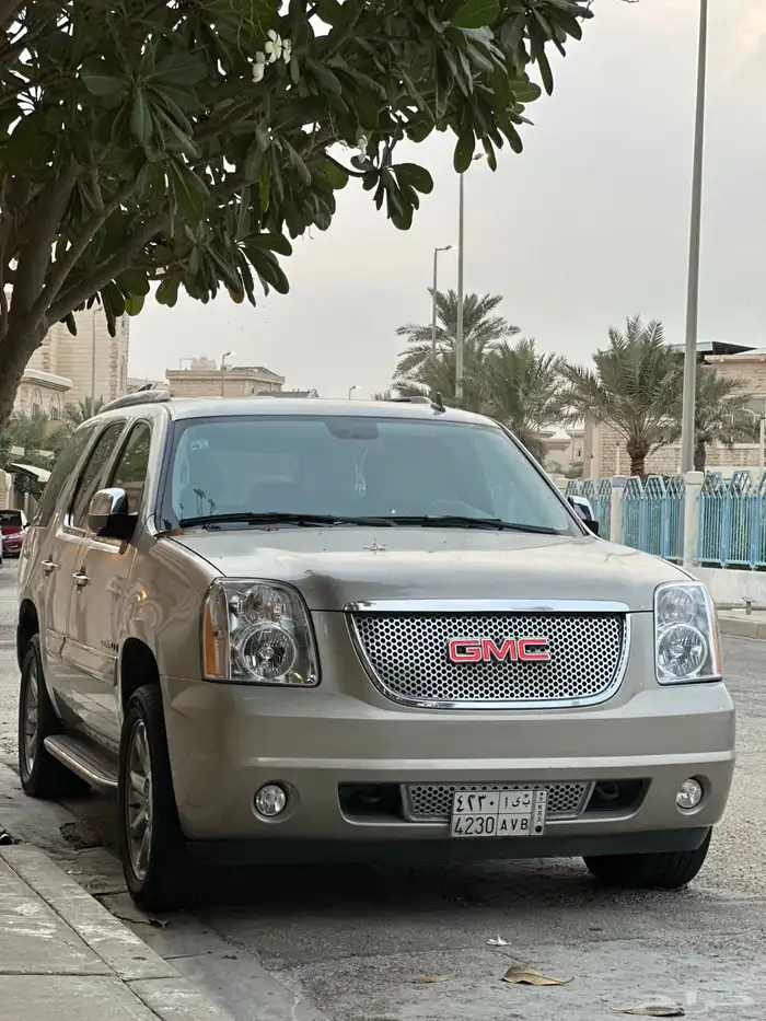 يوكن دينالي 0