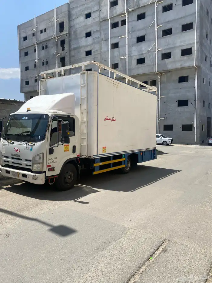 دينا اسيزو 3