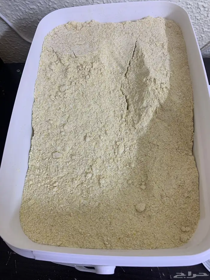 سريلاك طيور للبيع 4