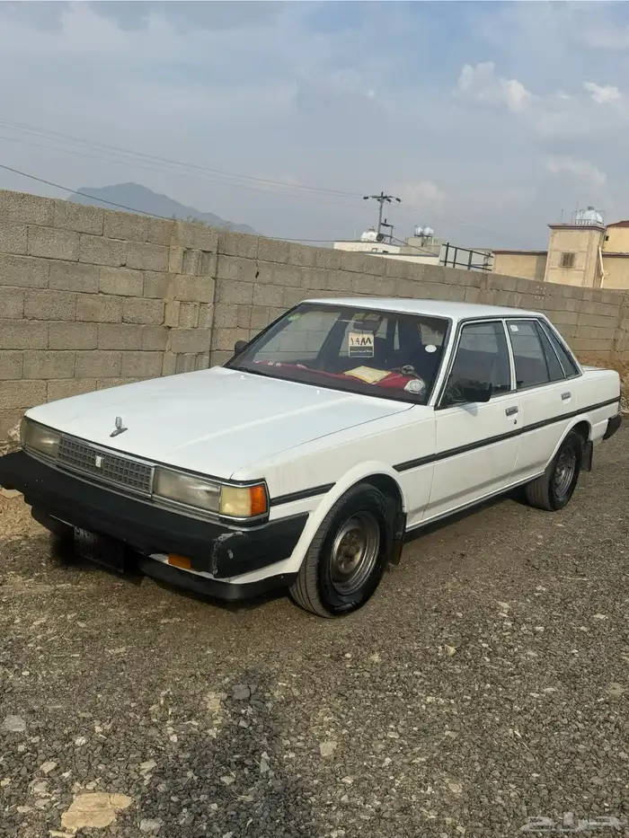 كرسيدا للبيع 1