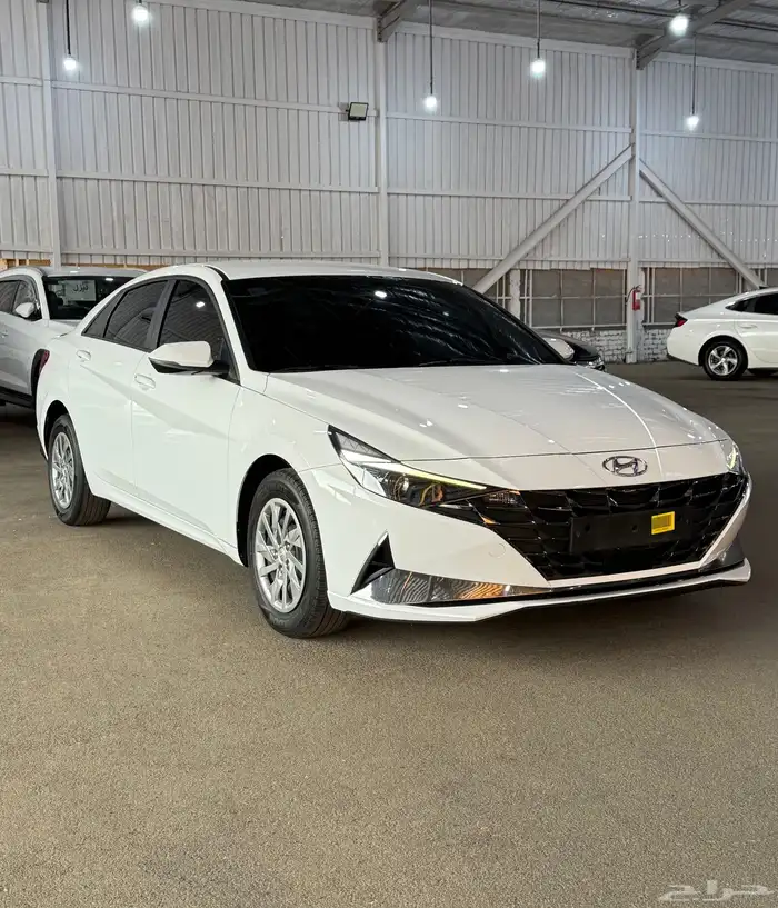 النترا 2022 بدي وكاله 3