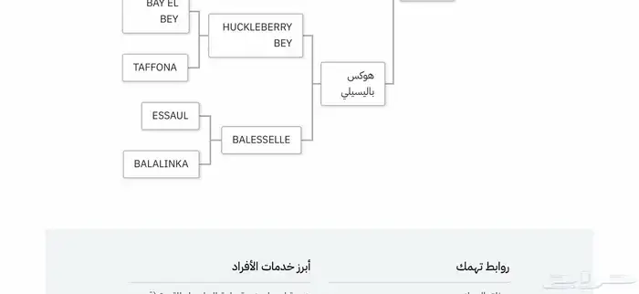 خيل عربي اصيل اوراق جمال 3