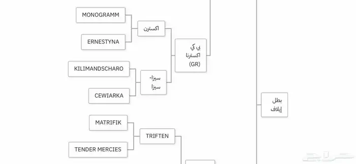 خيل عربي اصيل اوراق جمال 5